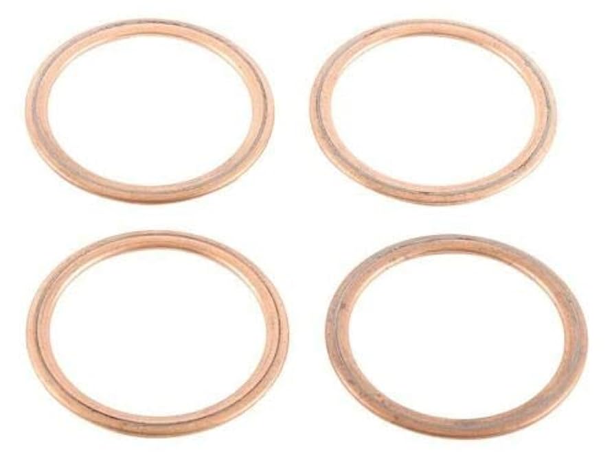 A Amazon.com: Caltric Muffler Pipe Holder Gasket Compatible